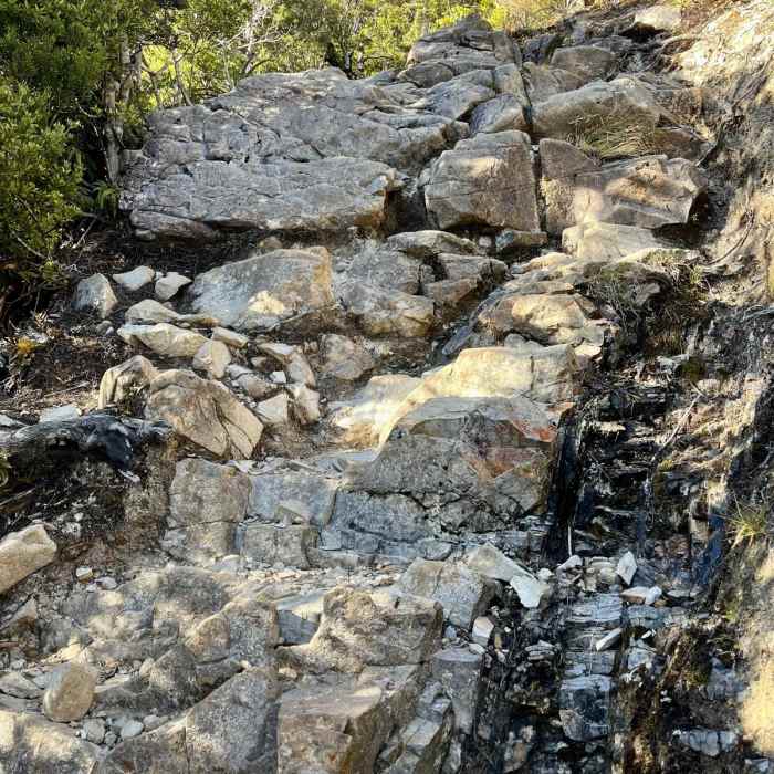 Near Avalanche Peak via Scott's Track Near Avalanche Peak via Scott's Track