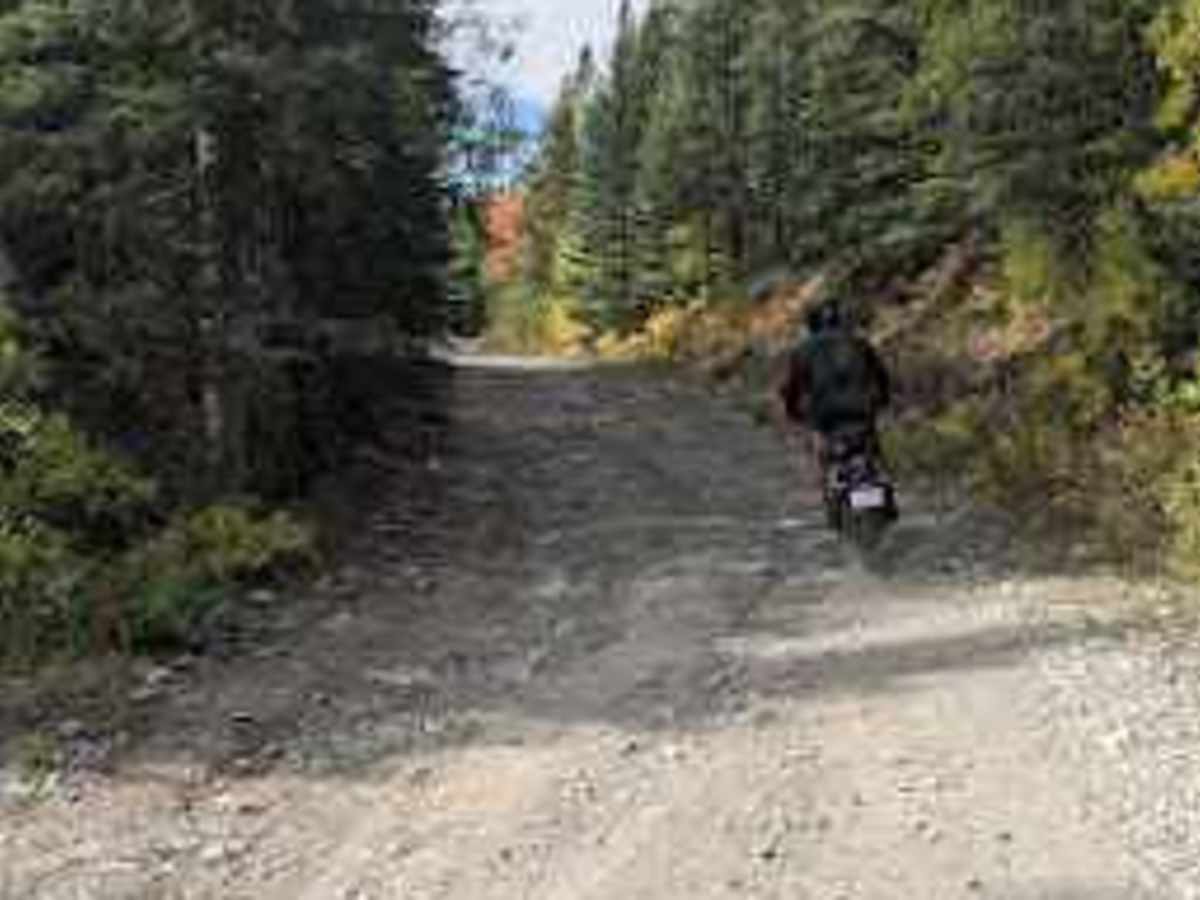Dutch Creek Road  photo 6