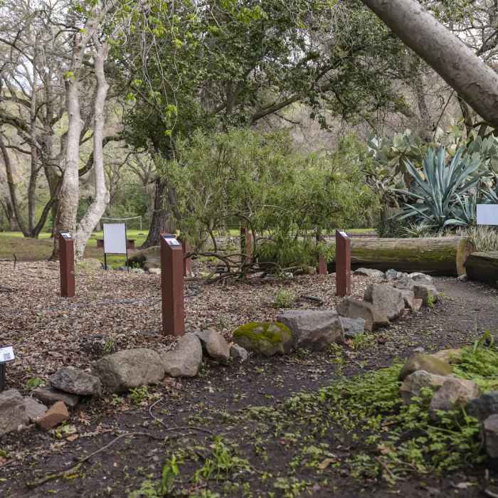 Near Pena Adobe Loop Trail