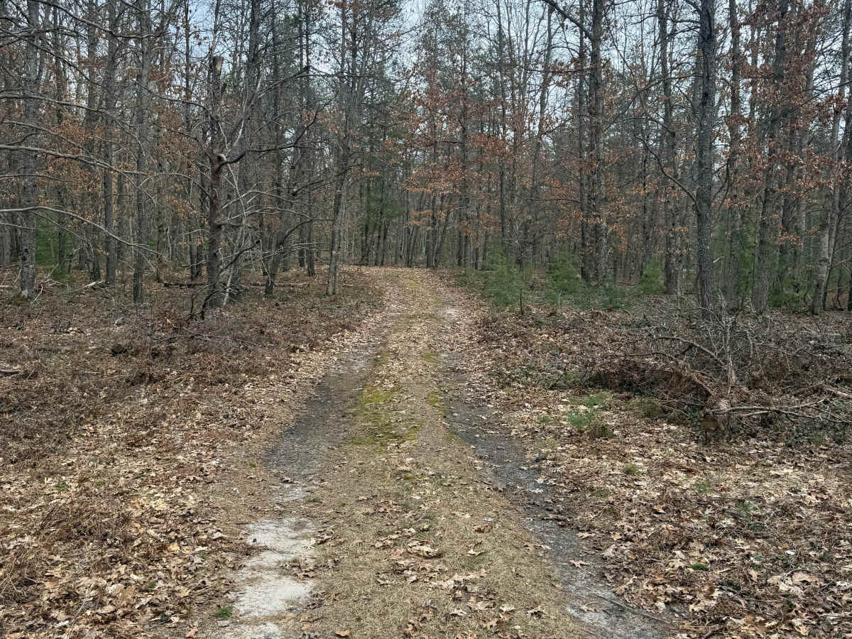 FS 8764 trail photo