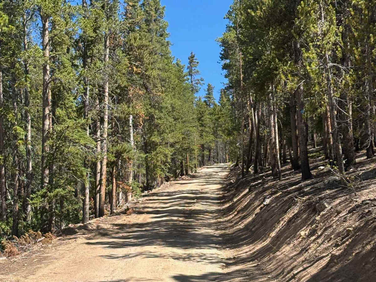 Bear Lake Road photo 3