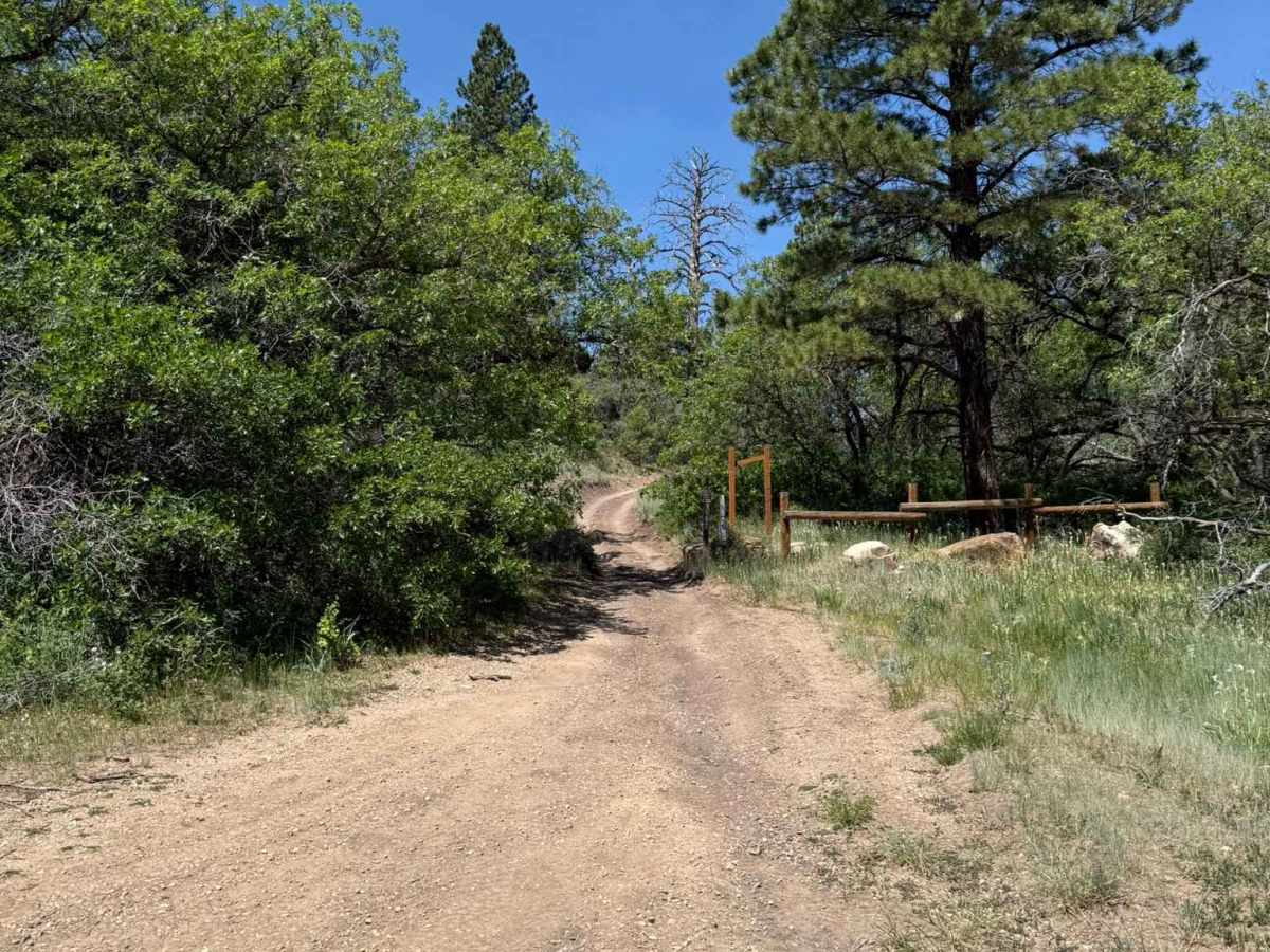 Shay Ridge OHV Trail N0. 162 photo 3