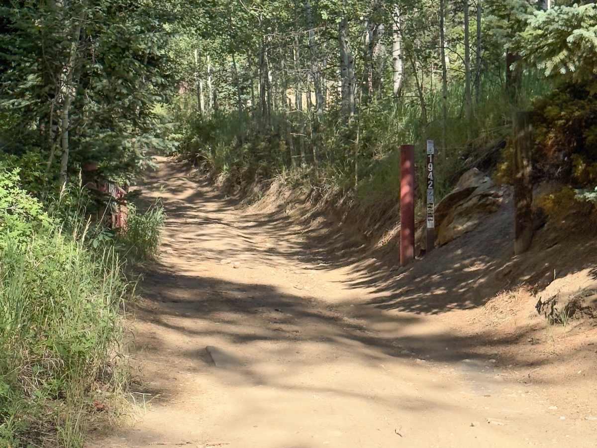 Lower Barbour Fork Road trail photo