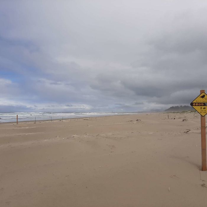 Near Bayocean Peninsula Loop Trail