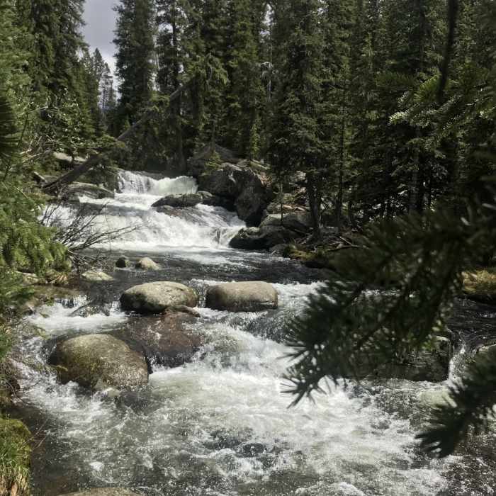 Near Middle Tensleep Trail #065