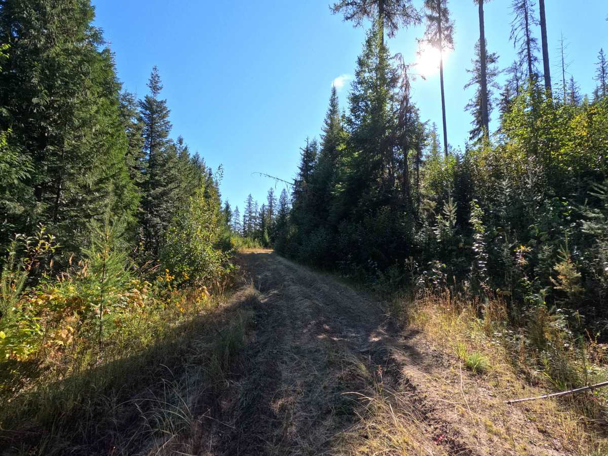 Klahowya Creek F - FS 1075F photo 4