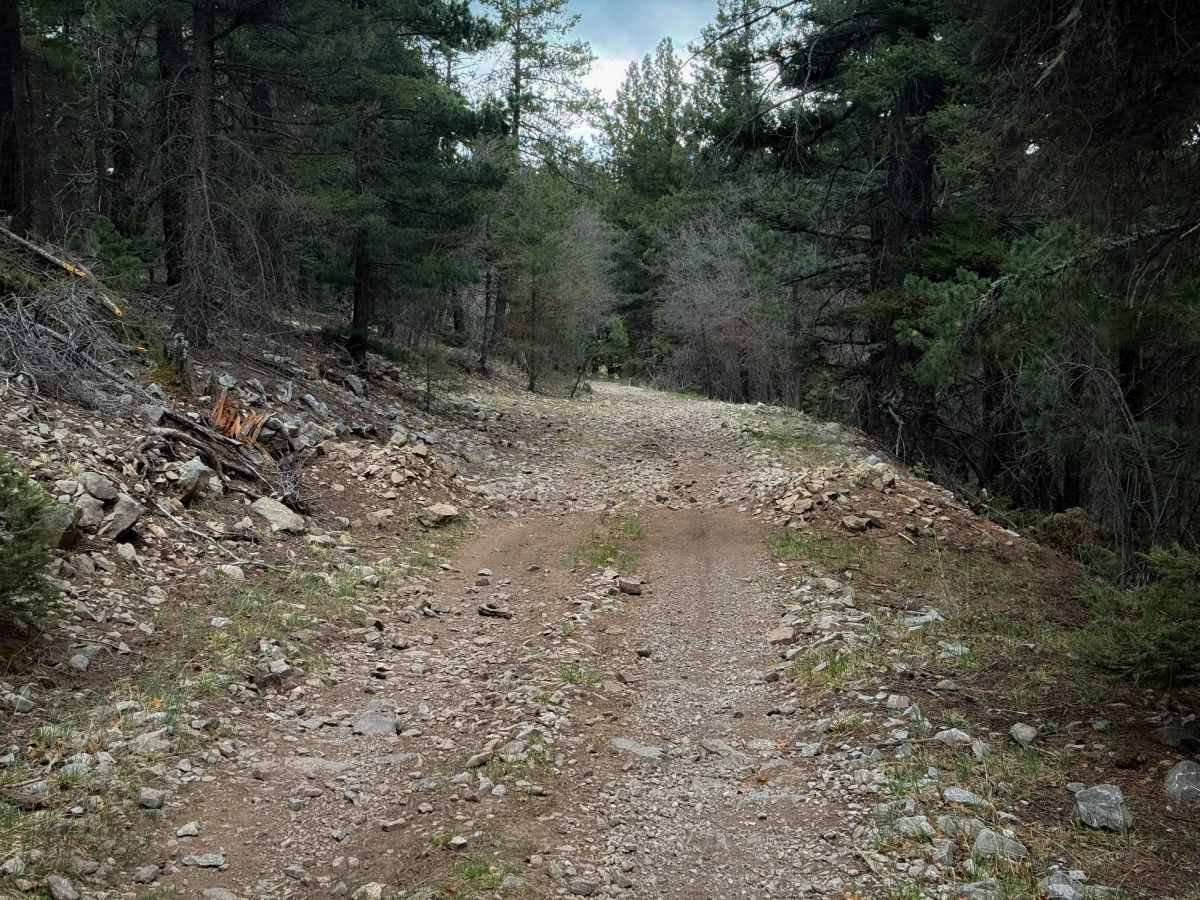 Benson/Bluff Springs - FS 5006 photo 6