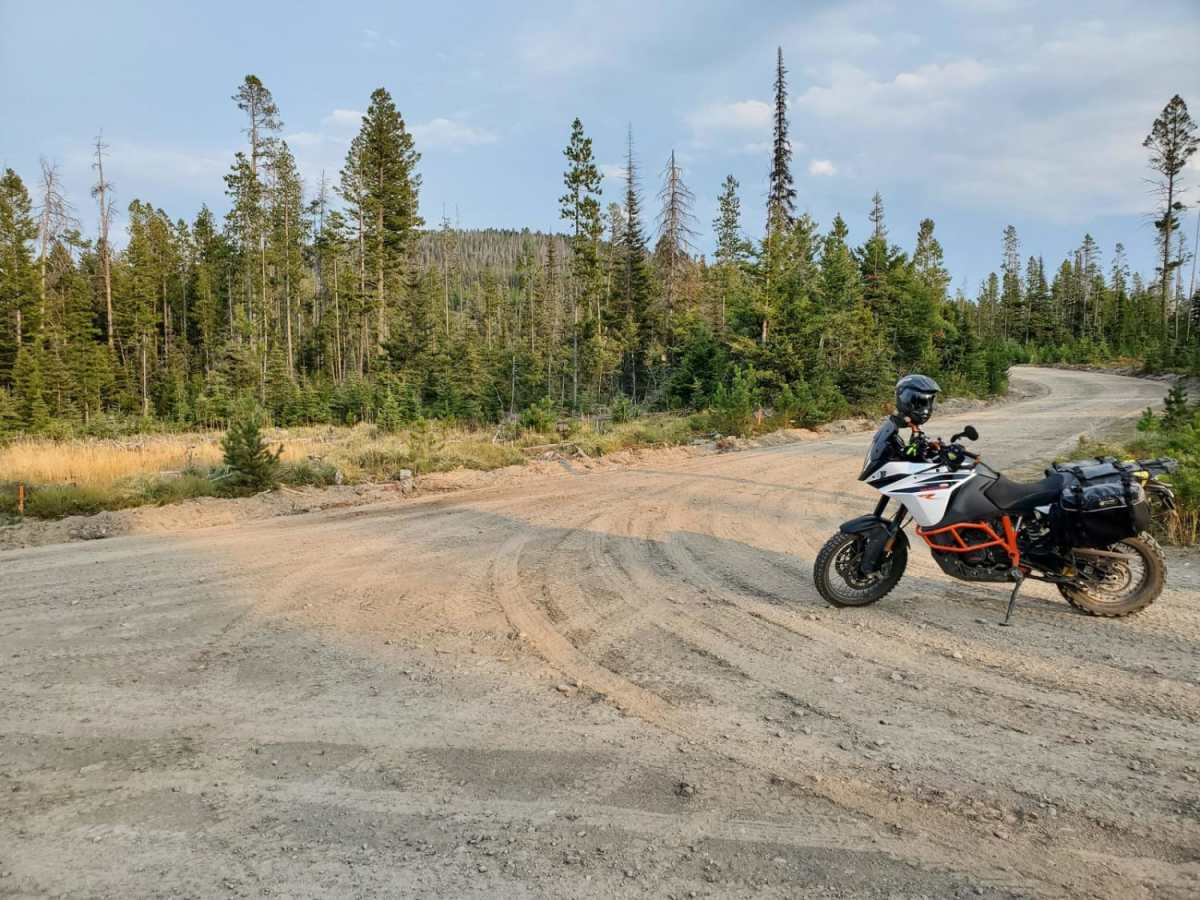 Dalton Mountain Road photo 3