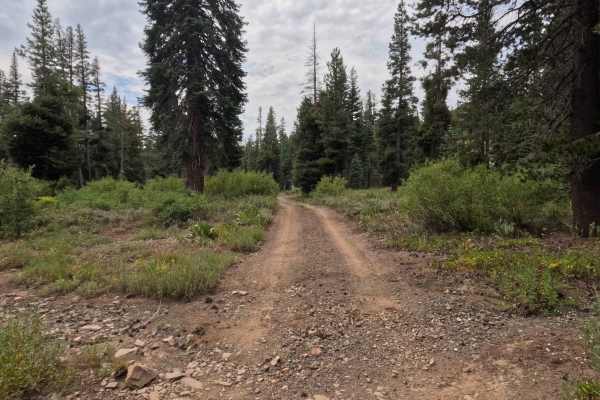South Charity Road - FS 31068A