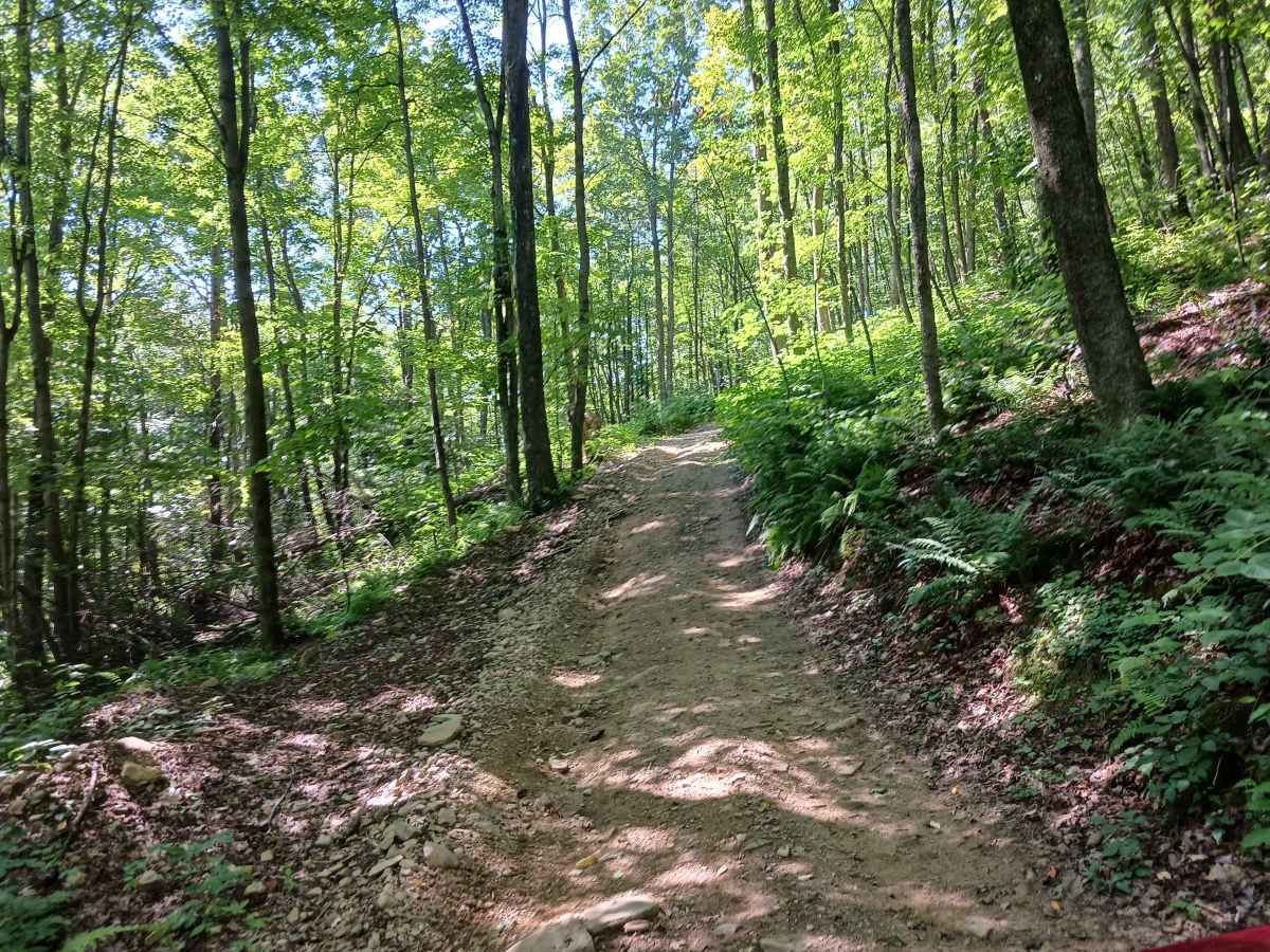 Trail 14D - Rock Run Recreation Area photo 6