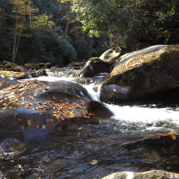Near Big Creek Trail to Mouse Creek Falls Near Big Creek Trail to Mouse Creek Falls
