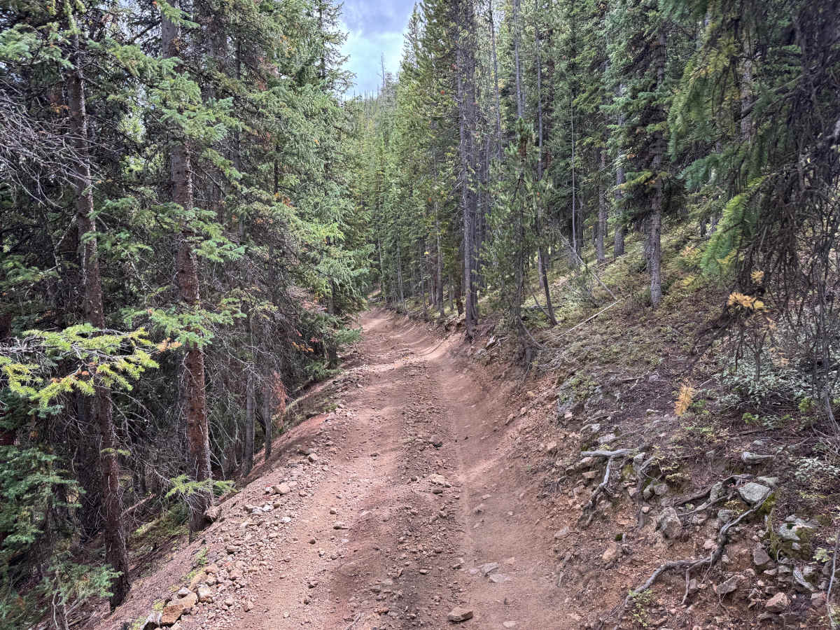 Georgia Gulch Road photo 3