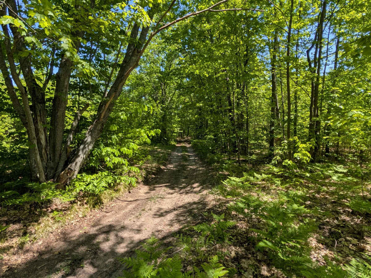Dyer Lake Trail photo 3