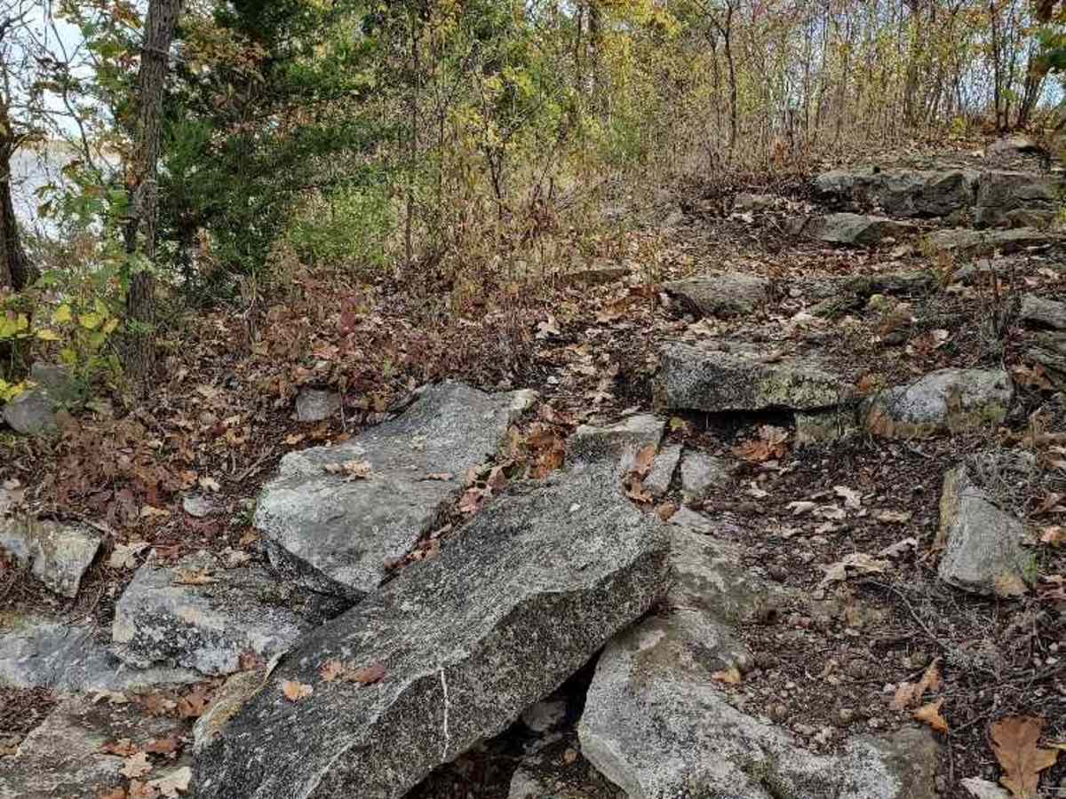 Winfield Lake Track trail photo