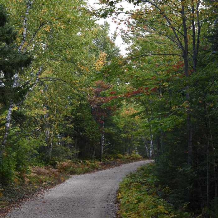 Near Au Sable Light Station Trail Near Au Sable Light Station Trail