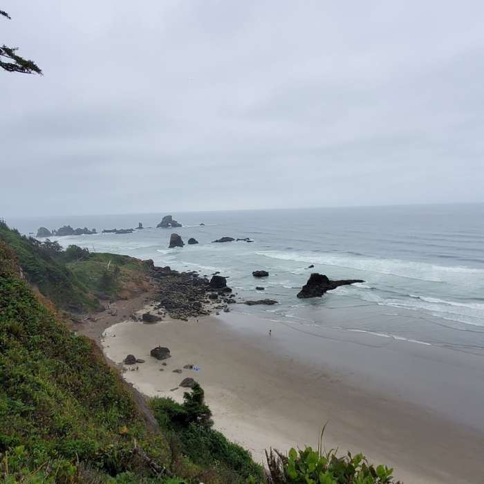 Near Indian Beach Trail