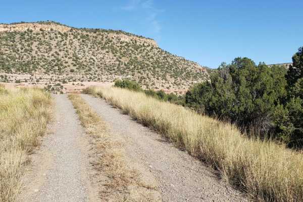 Mills Canyon Trail