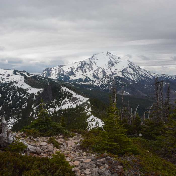 Near Bear Point Trail #3342