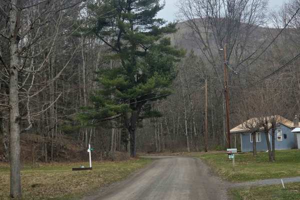 Straight Run Road