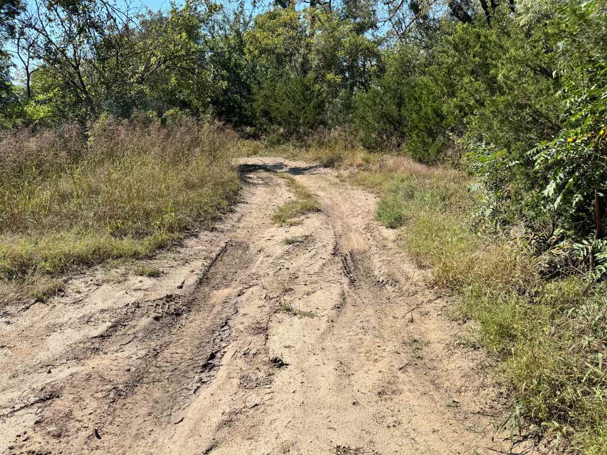 Mud Flap Meadow trail photo