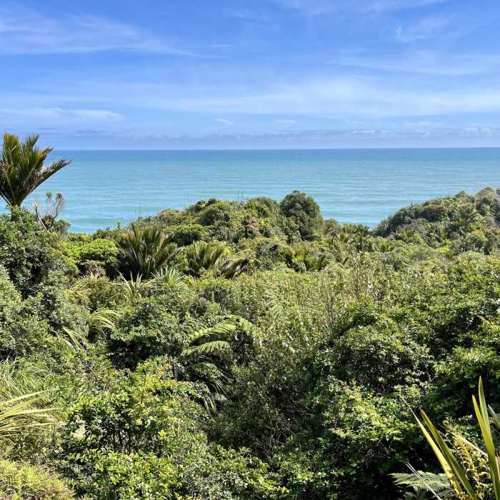 Near Point Elizabeth Lookout Track Near Point Elizabeth Lookout Track