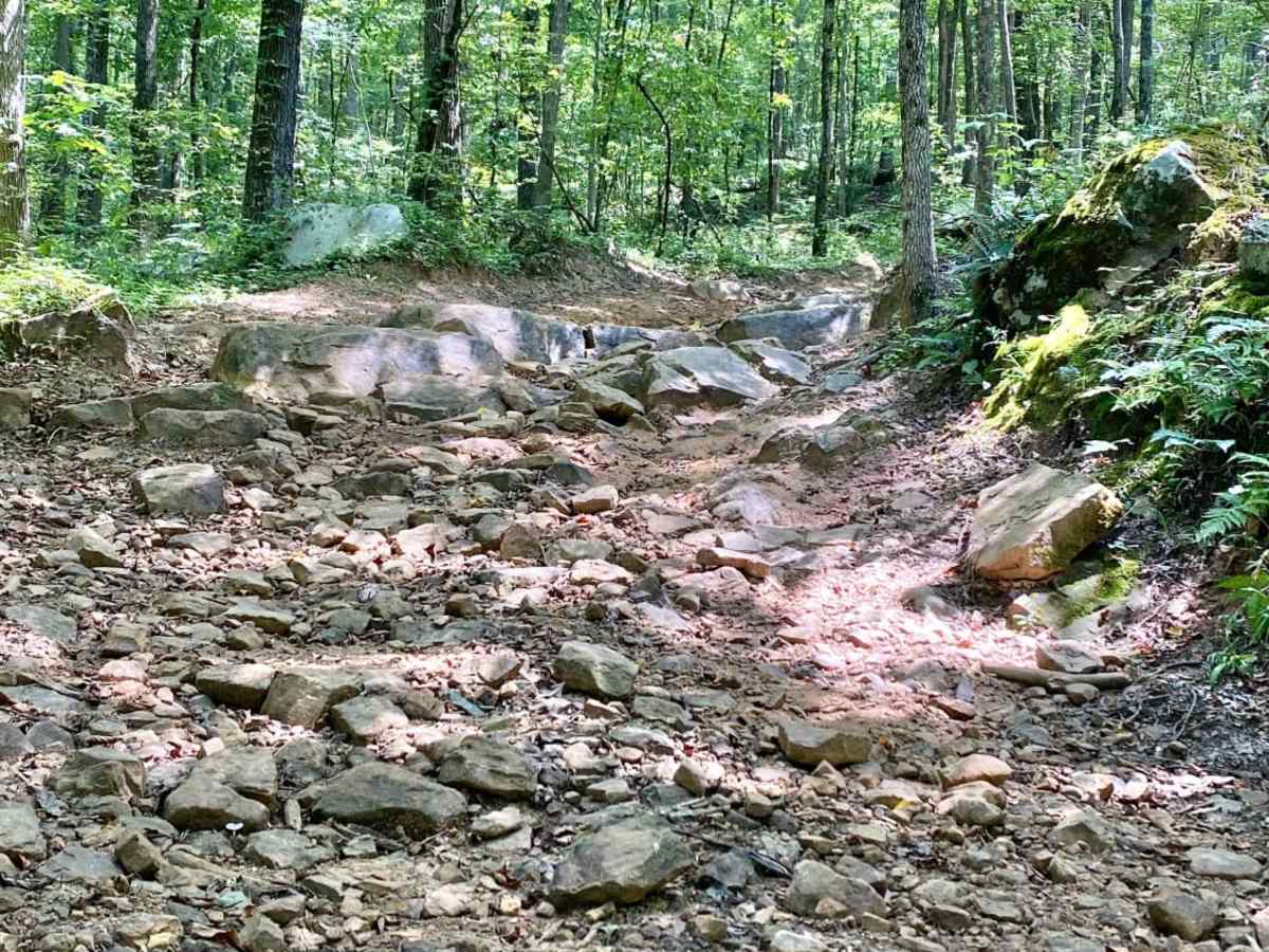 Wolf Ridge trail photo