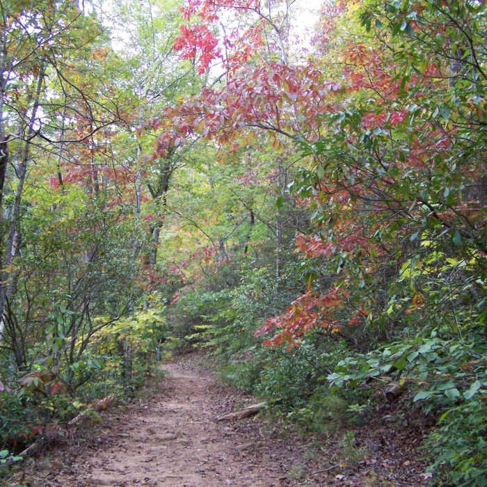 Near Sulfur Springs Loop