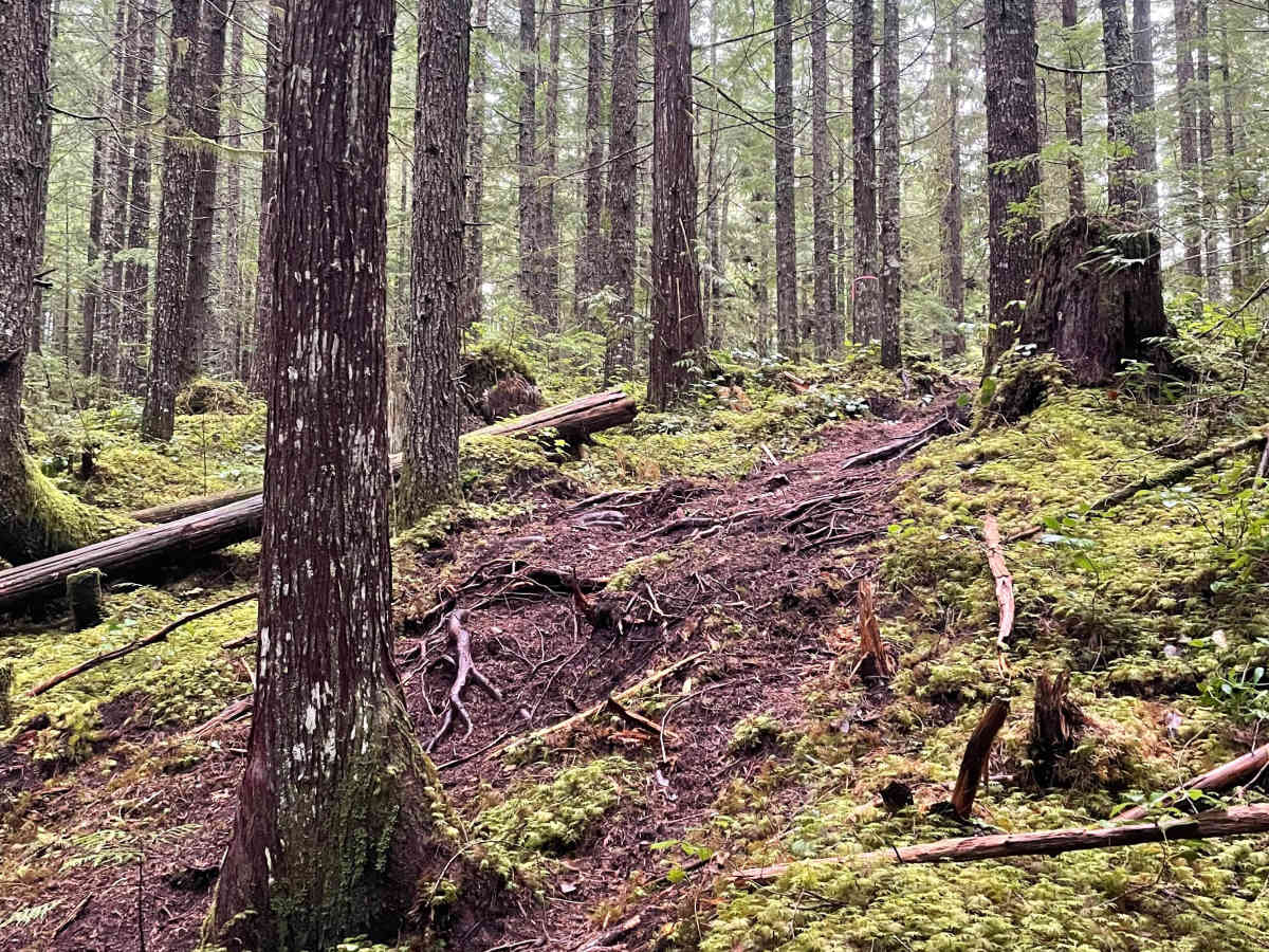 Wray's Way Bonus trail photo