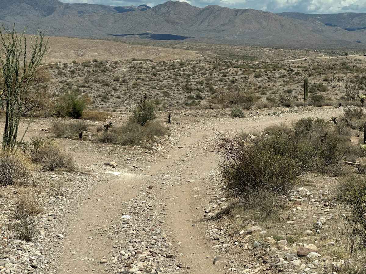 AR-LO Trail trail photo