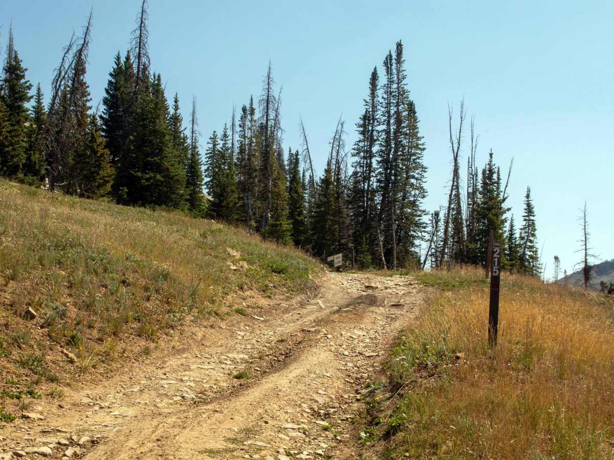 Fairway Loop - FS 1215 photo 4
