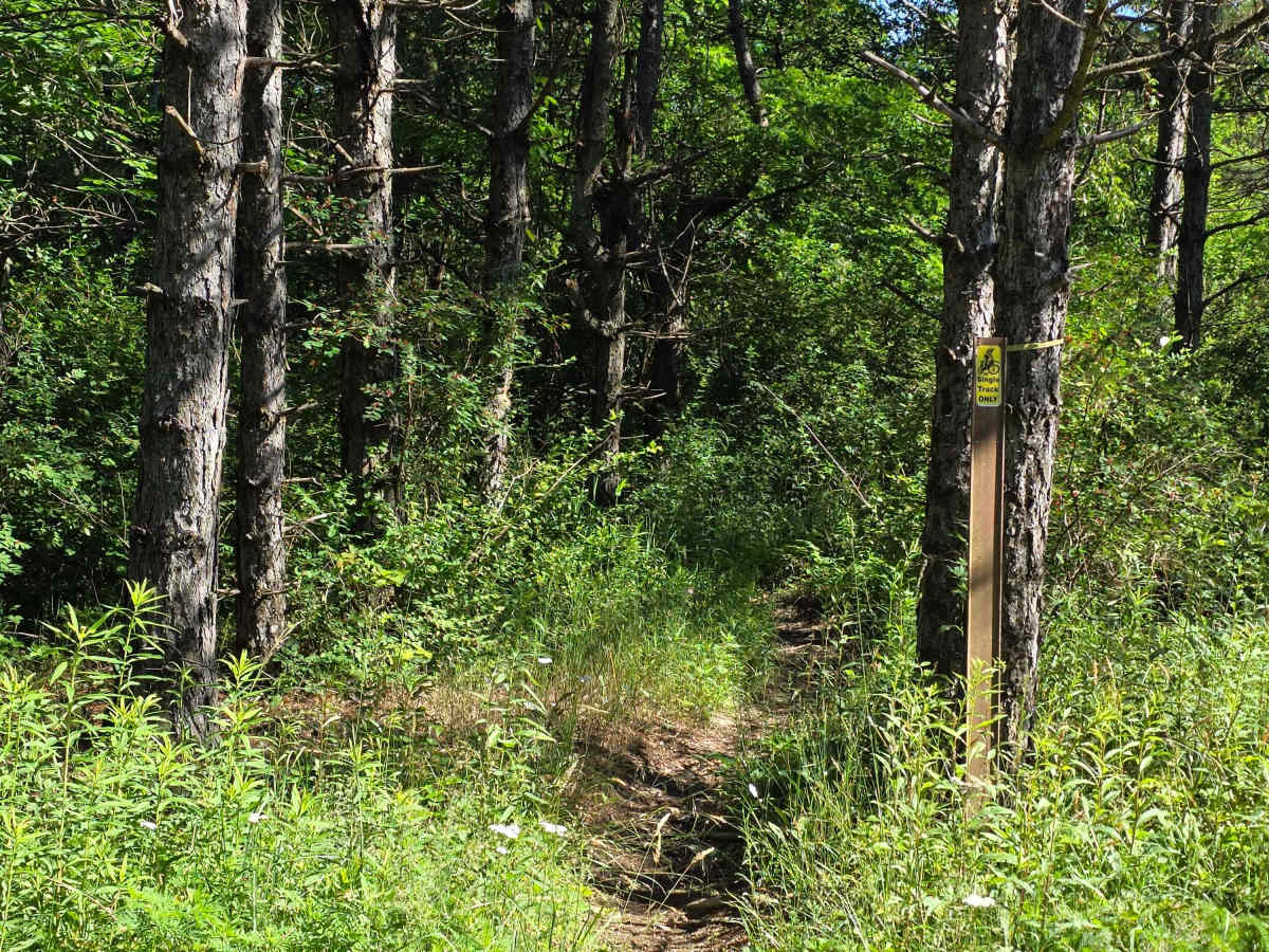 Single Track O photo 2