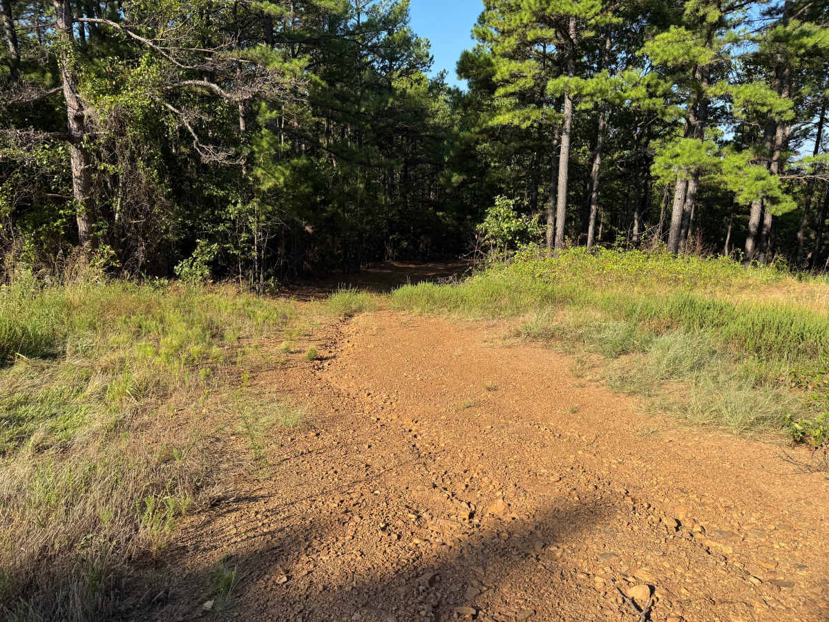Slick Rock photo 5