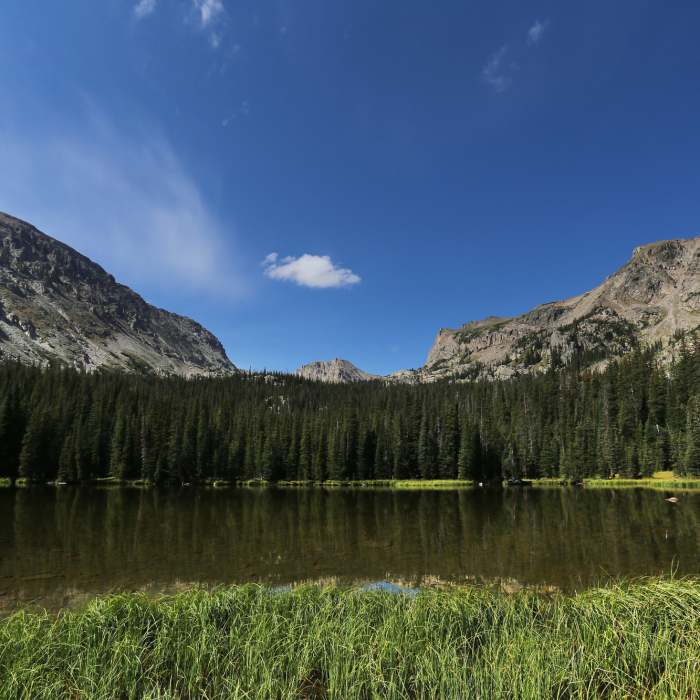 Near Ouzel Lake Trail