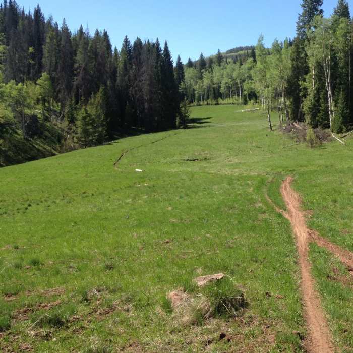 Near Buck Creek