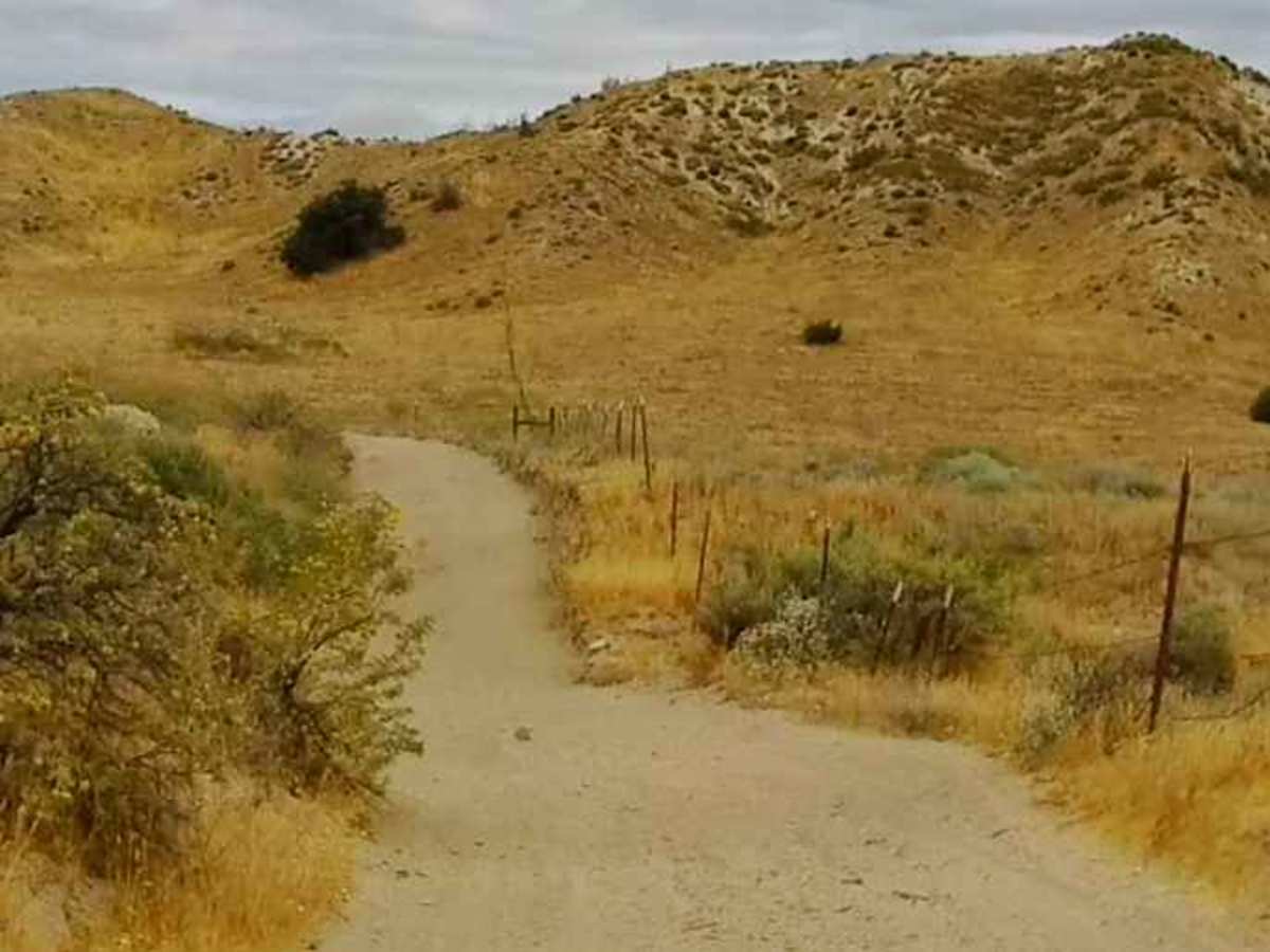 Holy Cow Trail photo 2