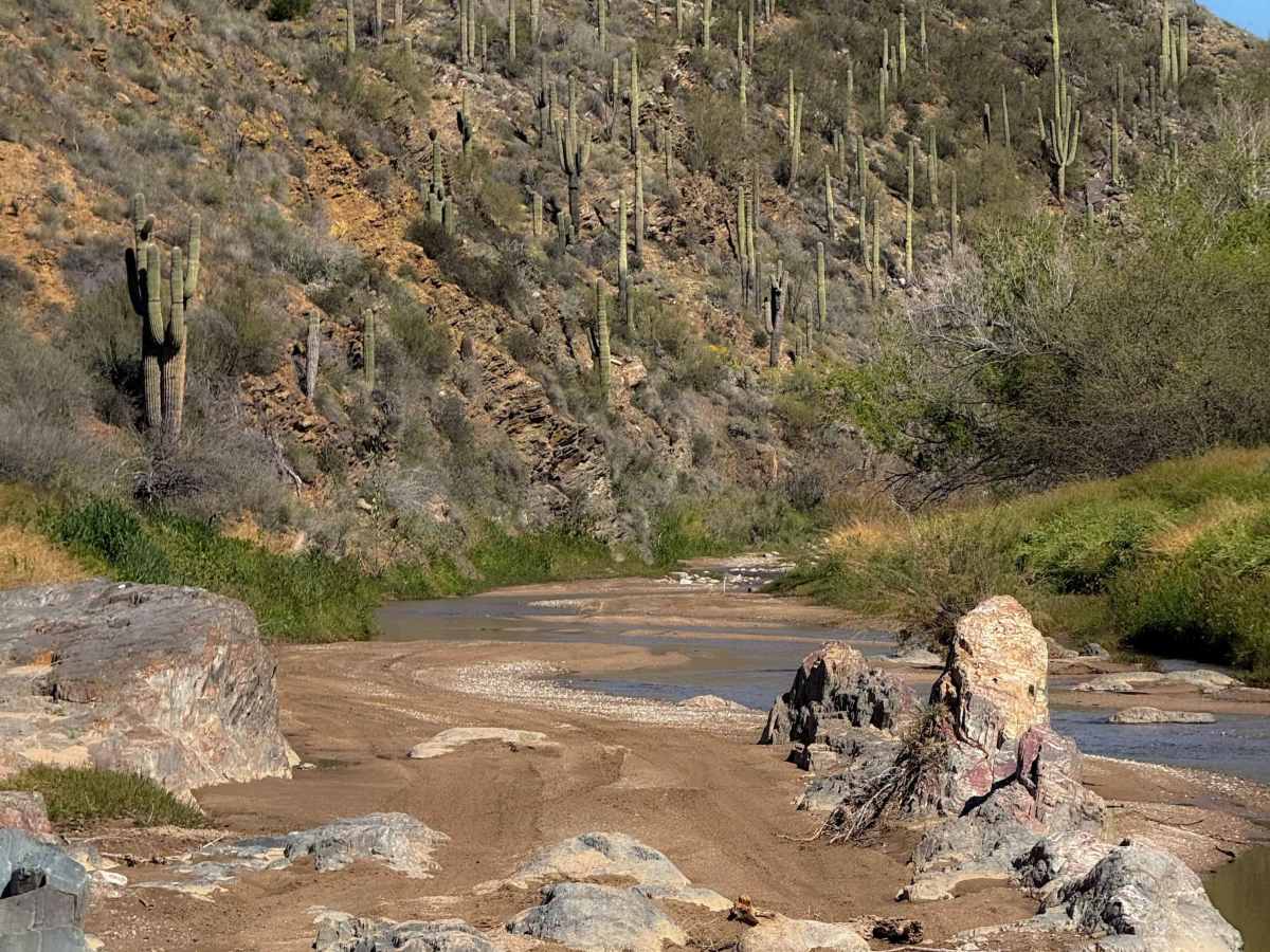 Bc1188 trail photo