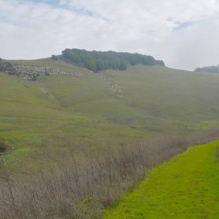 Near Newell Open Space Preserve
