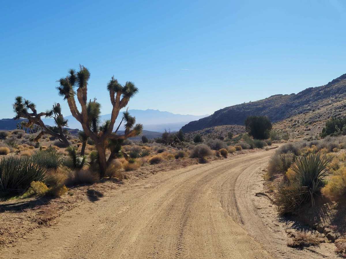 West Mtn Side Trail photo 5