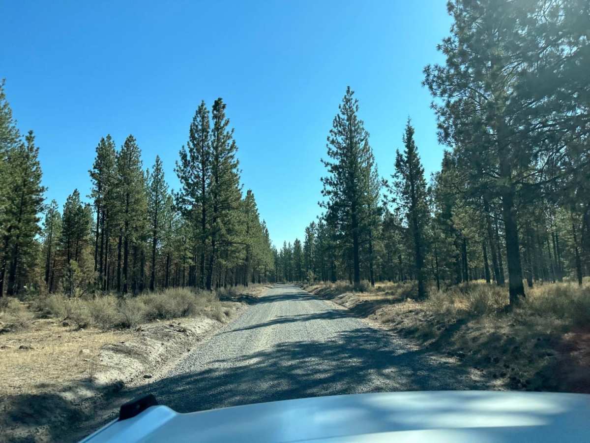 Sisters to Trout Creek Butte Trails photo 6