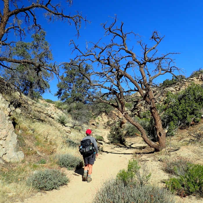 Near Black Rock Canyon Trail