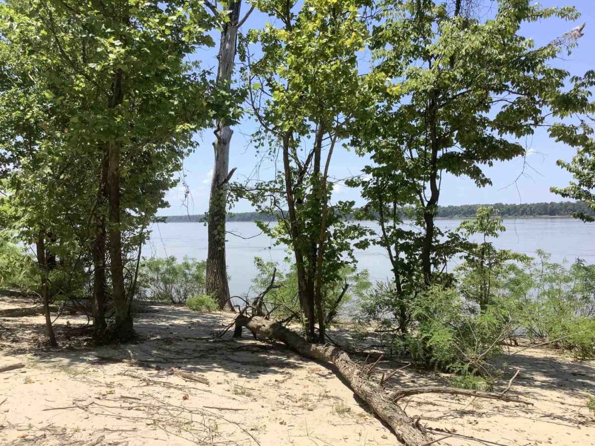 Cat Island River Trail photo 2