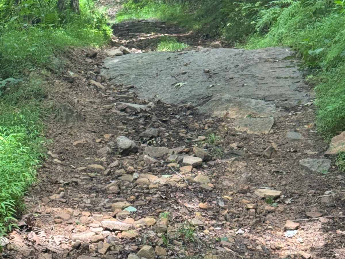 Trail 74 photo 5