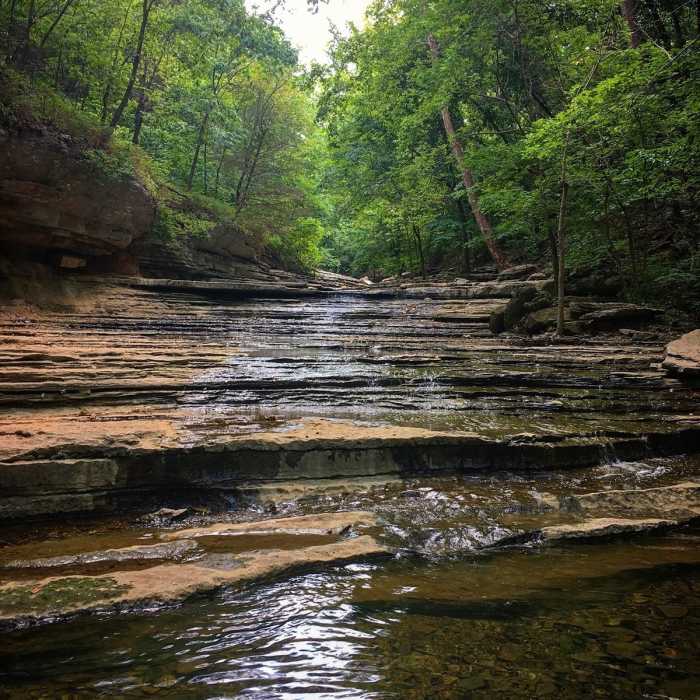 Waterfall Near Tanyard Creek Loop