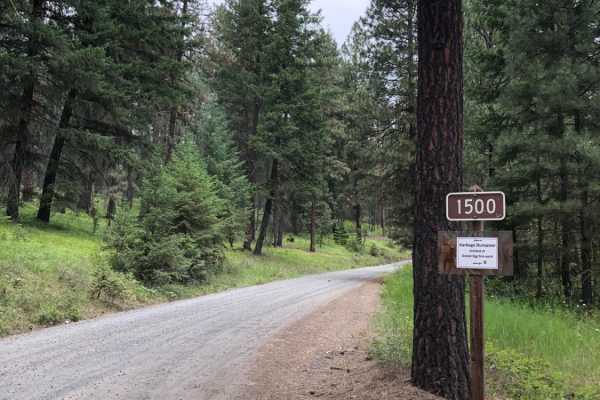 Bethel Ridge Road 15