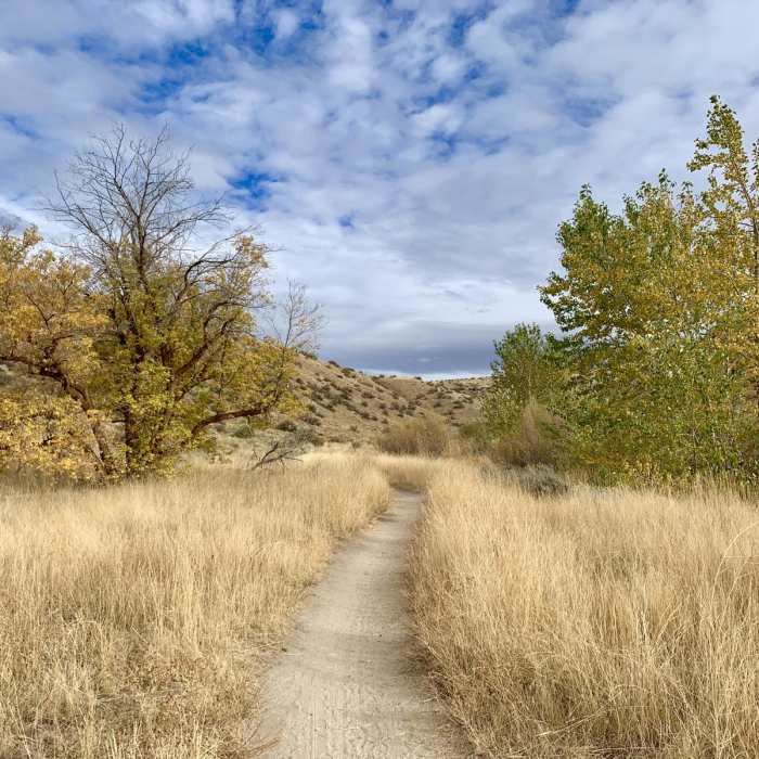 Near Lower Hull's Gulch - Red Cliffs Hike