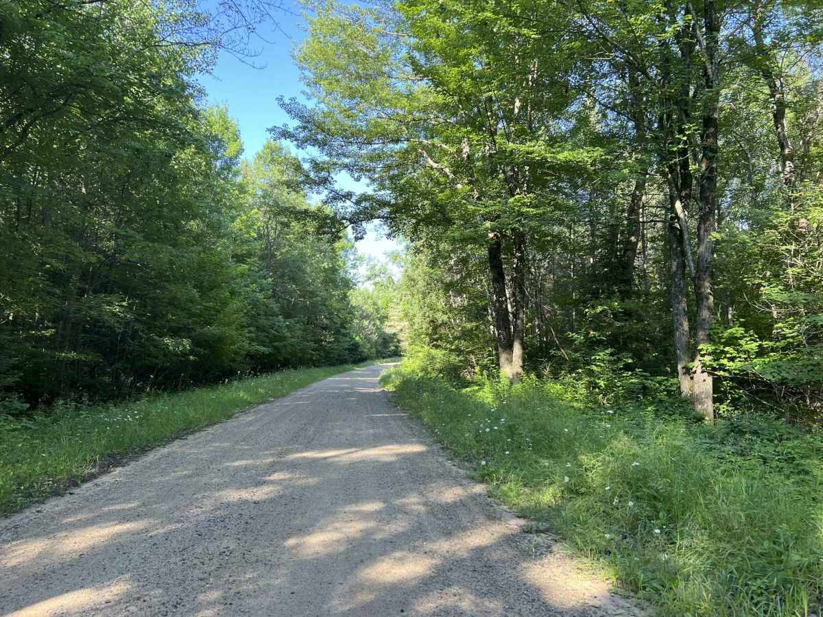 Berrys Lane trail photo