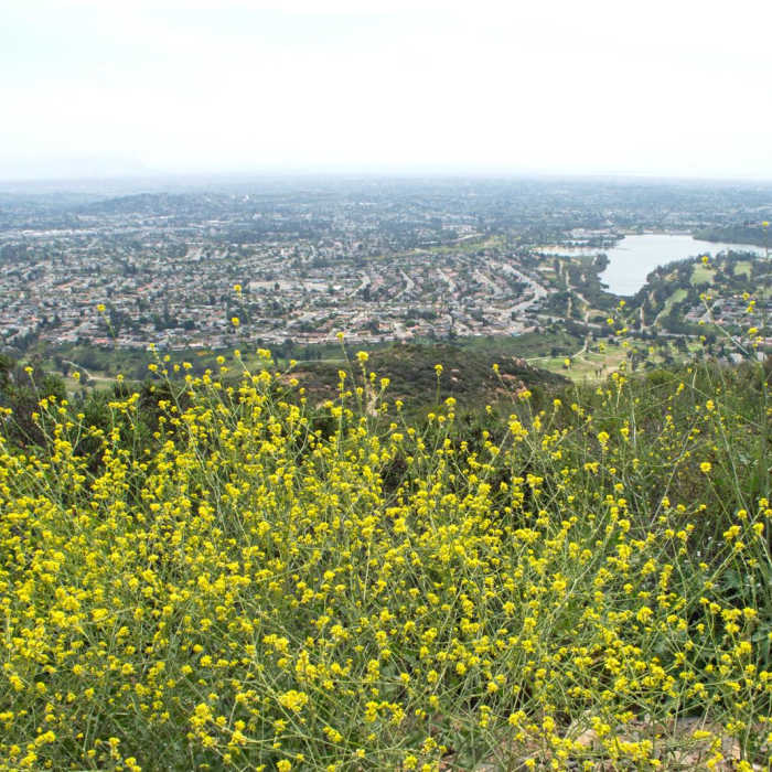 Near Cowles Mountain via Big Rock Trail