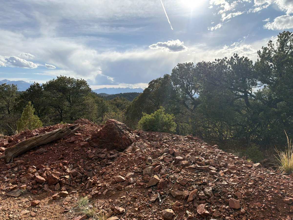 BLM 6170B photo 5