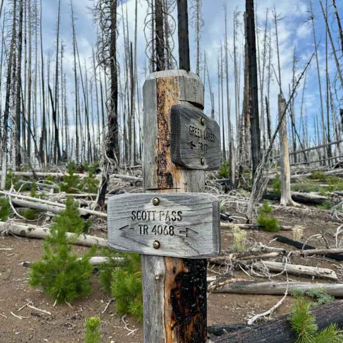 Near South Matthieu Lake via Scott Pass Trailhead
