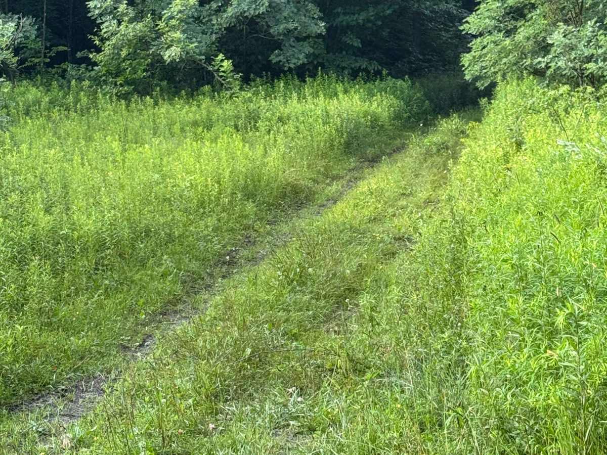 Trail 50 photo 6
